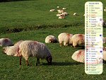 Calendrier de f�vrier 2012