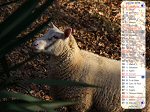 Calendrier du mois de janvier 2012