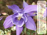 Calendrier de juillet 2009