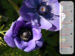 Calendrier de mai 2012